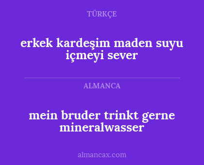 erkek kardeşim maden suyu içmeyi sever - mein bruder trinkt gerne mineralwasser