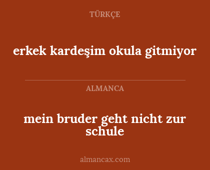 erkek kardeşim okula gitmiyor - mein bruder geht nicht zur schule