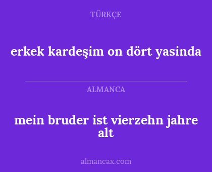 mein bruder ist vierzehn jahre alt - erkek kardeşim on dört yasinda