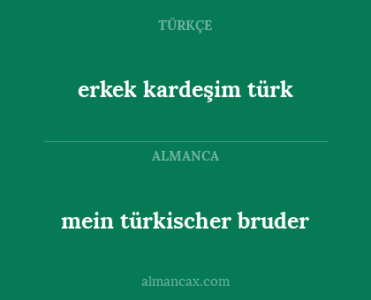 erkek kardeşim türk - mein türkischer bruder