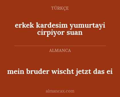 mein bruder wischt jetzt das ei - erkek kardesim yumurtayi cirpiyor suan