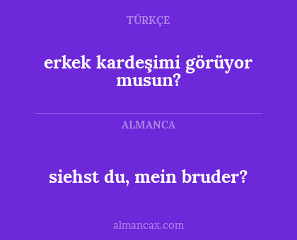 erkek kardeşimi görüyor musun? - siehst du, mein bruder?