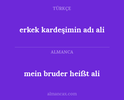 mein bruder heißt ali - erkek kardeşimin adı ali