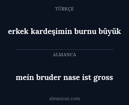 mein bruder nase ist gross - erkek kardeşimin burnu büyük