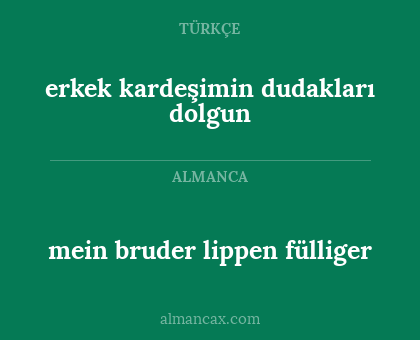 mein bruder lippen fülliger - erkek kardeşimin dudakları dolgun