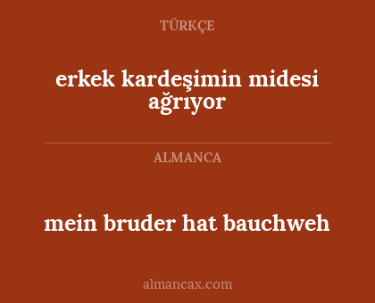 mein bruder hat bauchweh - erkek kardeşimin midesi ağrıyor