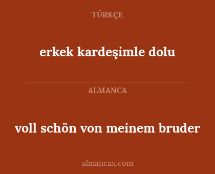 erkek kardeşimle dolu - voll schön von meinem bruder
