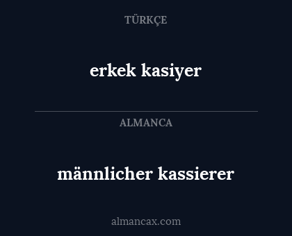 männlicher kassierer - erkek kasiyer