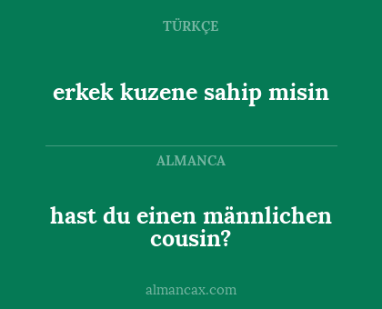 hast du einen männlichen cousin? - erkek kuzene sahip misin