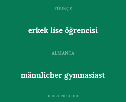 männlicher gymnasiast - erkek lise öğrencisi