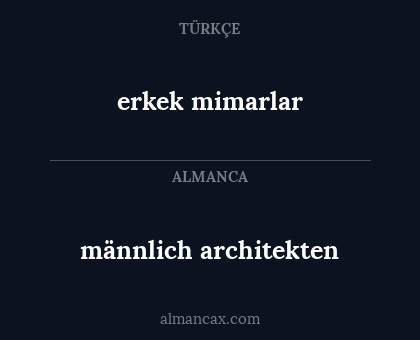 erkek mimarlar - männlich architekten