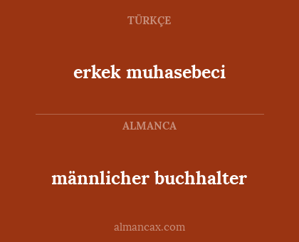 männlicher buchhalter - erkek muhasebeci