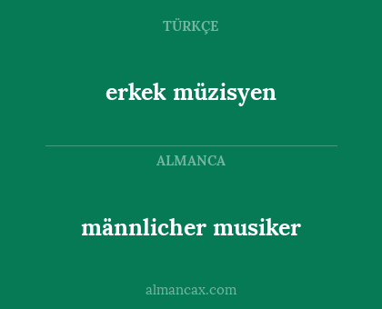 männlicher musiker - erkek müzisyen