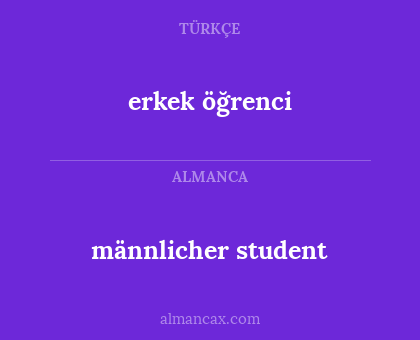 männlicher student - erkek öğrenci