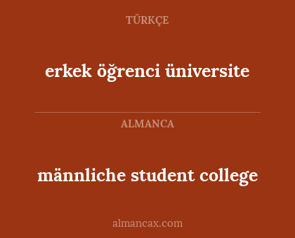 männliche student college - erkek öğrenci üniversite
