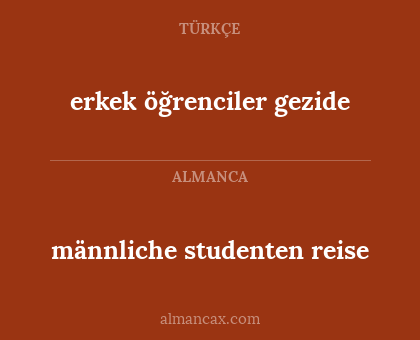 männliche studenten reise - erkek öğrenciler gezide
