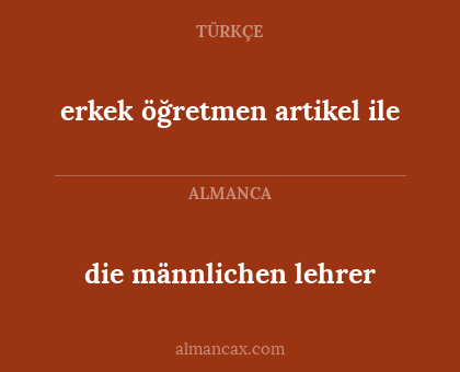 die männlichen lehrer - erkek öğretmen artikel ile