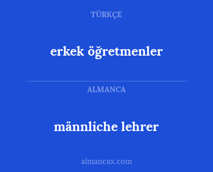erkek öğretmenler - männliche lehrer