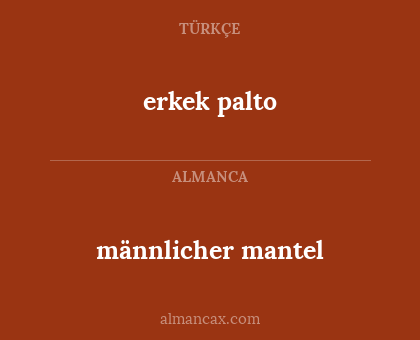 männlicher mantel - erkek palto