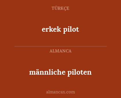 männliche piloten - erkek pilot