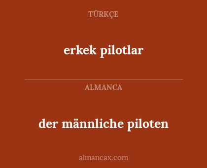 der männliche piloten - erkek pilotlar