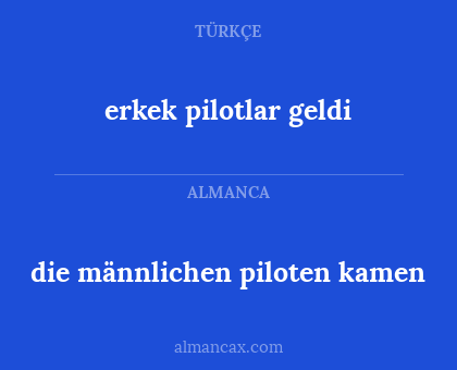 die männlichen piloten kamen - erkek pilotlar geldi