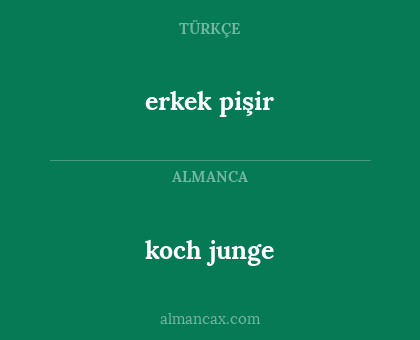 erkek pişir - koch junge