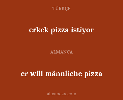 er will männliche pizza - erkek pizza istiyor