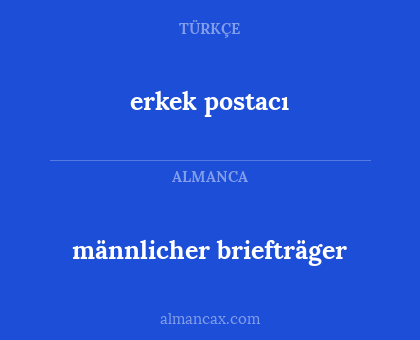 männlicher briefträger - erkek postacı