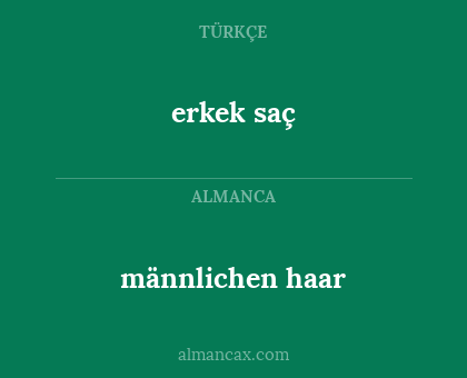 männlichen haar - erkek saç