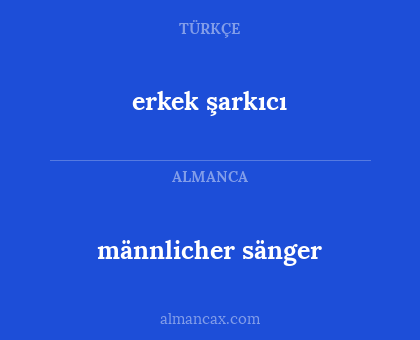 männlicher sänger - erkek şarkıcı