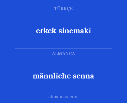 erkek sinemaki - männliche senna