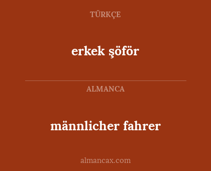 männlicher fahrer - erkek şöför