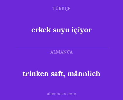 trinken saft, männlich - erkek suyu içiyor