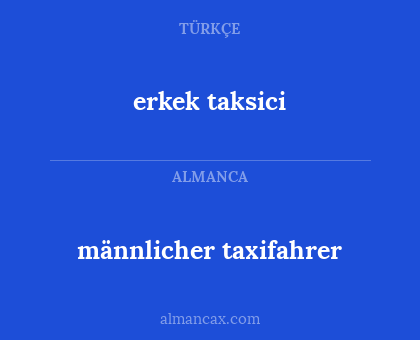 männlicher taxifahrer - erkek taksici