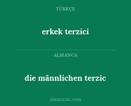 die männlichen terzic - erkek terzici