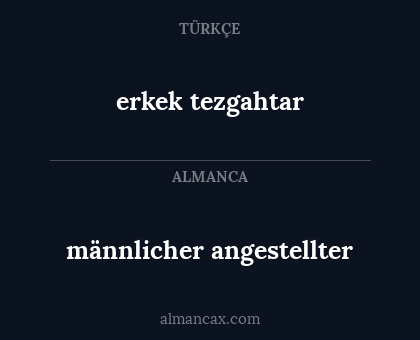 männlicher angestellter - erkek tezgahtar