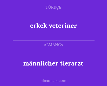 männlicher tierarzt - erkek veteriner