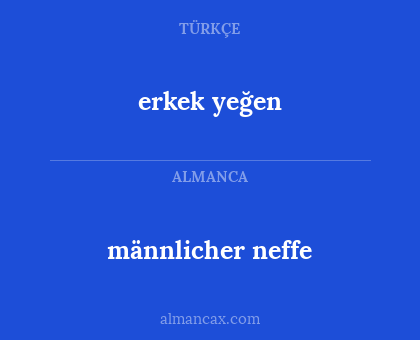 männlicher neffe - erkek yeğen