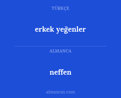 neffen - erkek yeğenler