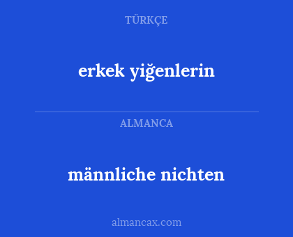 männliche nichten - erkek yiğenlerin