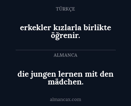 die jungen lernen mit den mädchen. - erkekler kızlarla birlikte öğrenir.