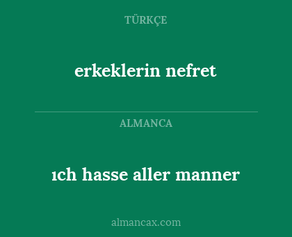 erkeklerin nefret - ıch hasse aller manner