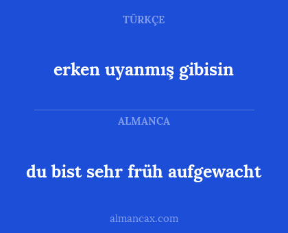 erken uyanmış gibisin - du bist sehr früh aufgewacht