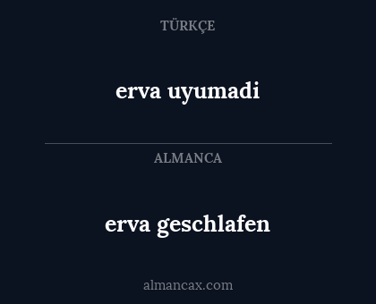 erva uyumadi - erva geschlafen
