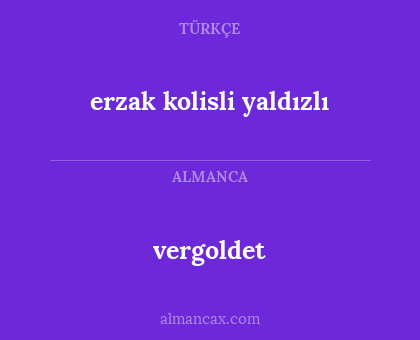 vergoldet - erzak kolisli yaldızlı