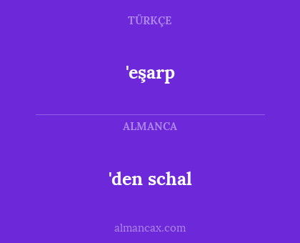 'den schal - 'eşarp