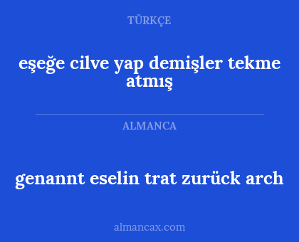 eşeğe cilve yap demişler tekme atmış - genannt eselin trat zurück arch