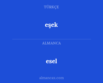 eşek - esel