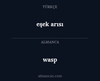 wasp - eşek arısı
